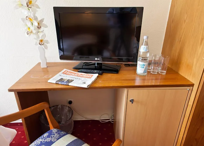 Hotel Leonet 3*